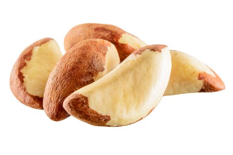 Nuez Brasil